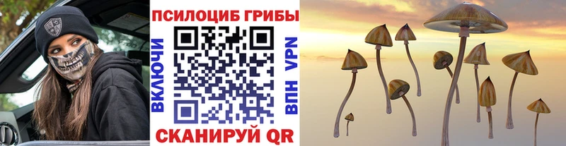 Галлюциногенные грибы мицелий  Кинель 